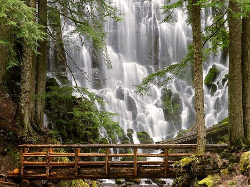 負(fù)氧離子濃度是空氣質(zhì)量評價的指標(biāo)