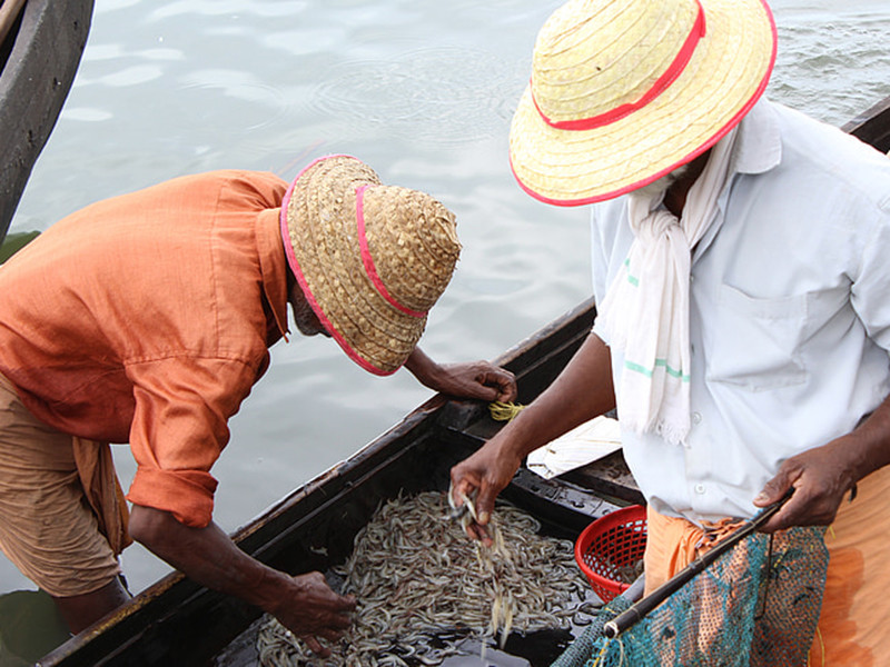 余氯檢測(cè)儀對(duì)水產(chǎn)養(yǎng)殖有什么幫助？