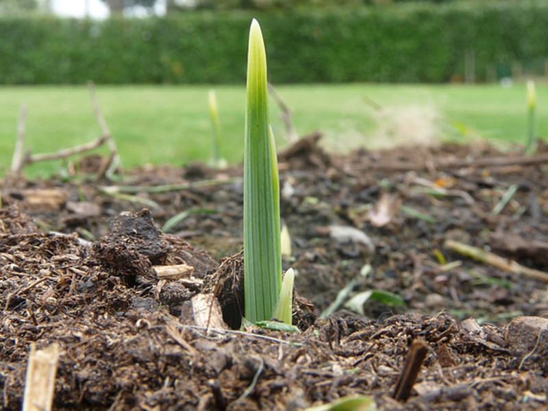 土壤養(yǎng)分檢測儀讓施肥更科學(xué)