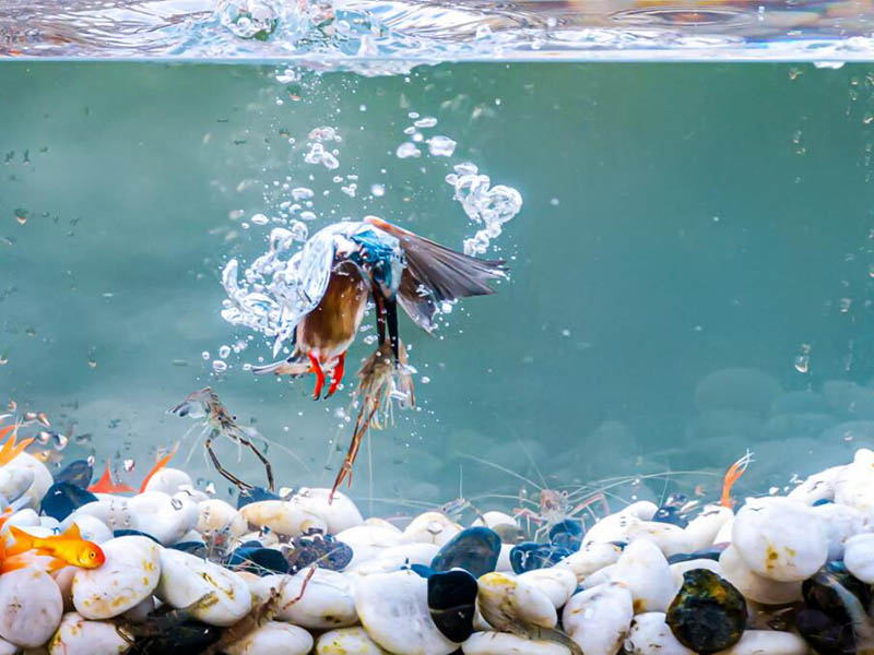 水質總磷總氮是什么意思