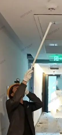 1736135680956432.png image.png