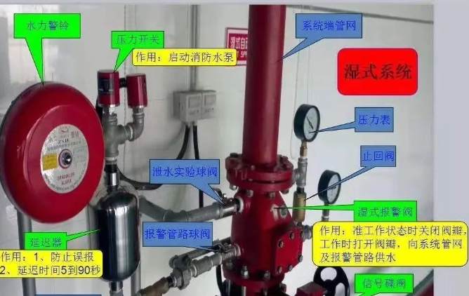 1736920365208027.png image.png