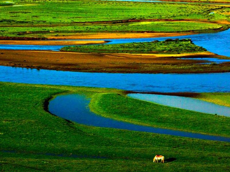 水質(zhì)總氮超標的原因