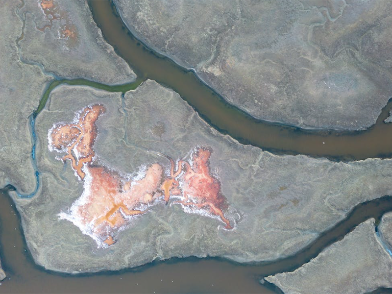 水質(zhì)亞氯酸鹽檢測(cè)儀應(yīng)用場(chǎng)景(水質(zhì)亞氯酸鹽檢測(cè)儀的作用)