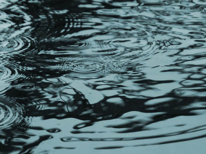 水質(zhì)檢測(cè)中常見(jiàn)金屬元素及來(lái)源（金屬元素的毒性機(jī)制）