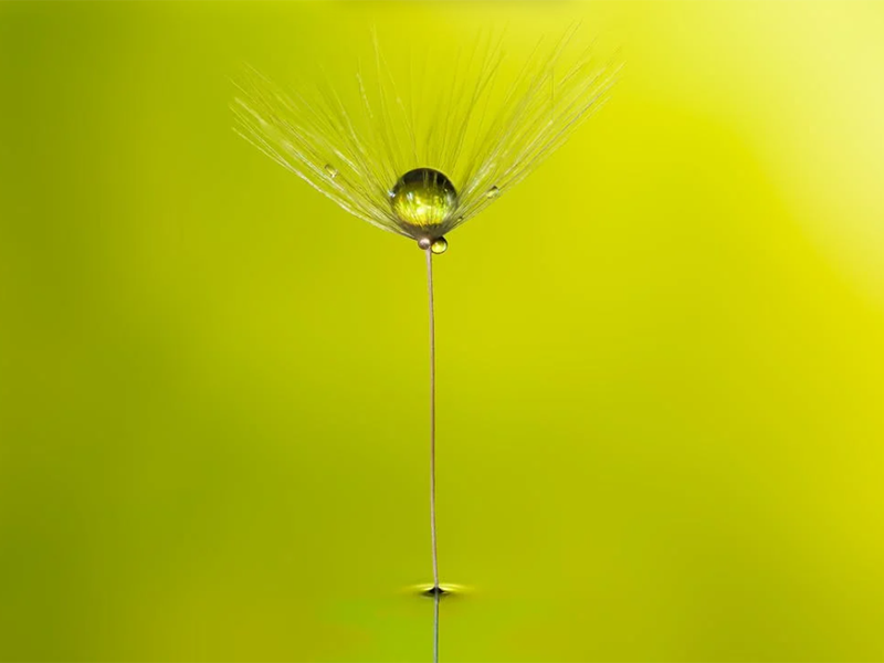 在線氨氮分析儀檢定規(guī)程（在線氨氮分析儀安裝、使用及維護(hù)）