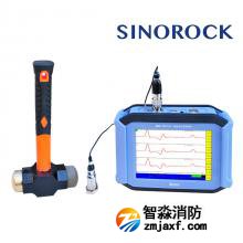 RSM-PRT（N）基樁低應變儀