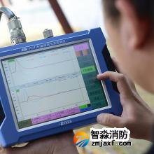 RSM-PDT（B）基樁高應變檢測儀