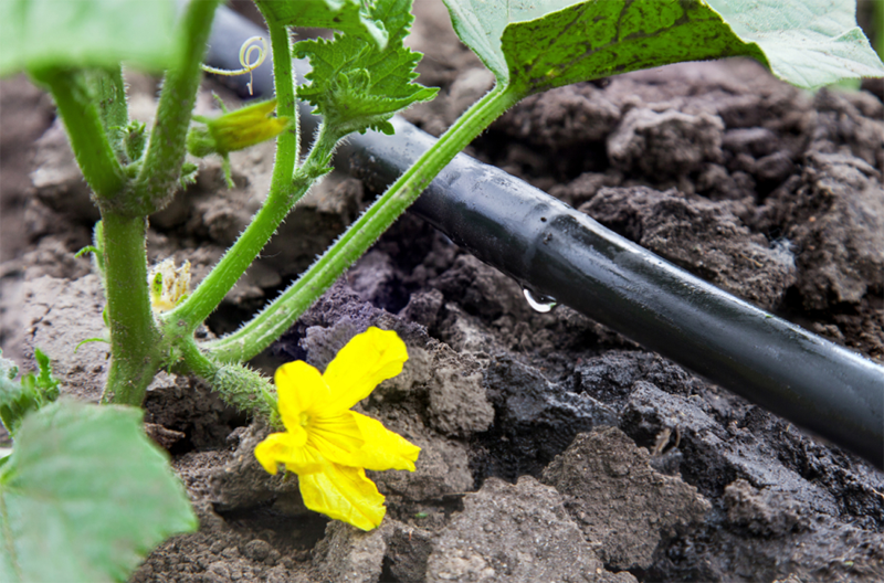 土壤水分測定儀